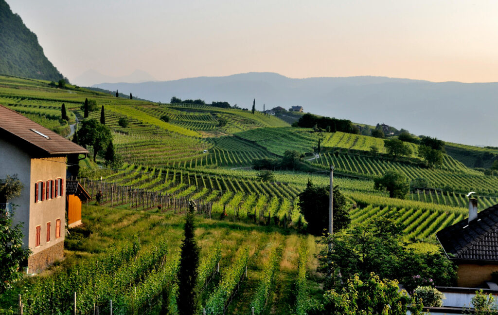 colline prosecco