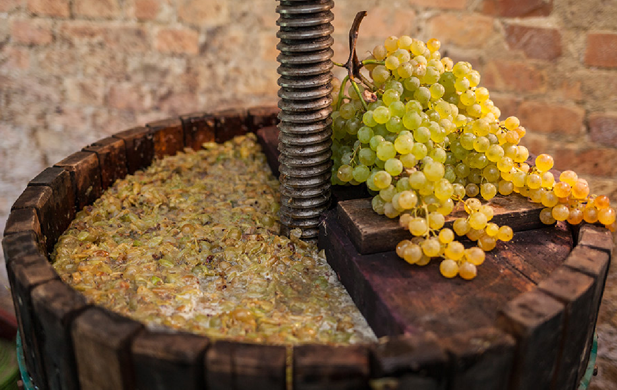 Dalla vendemmia all’autunno: come il Prosecco diventa icona di stagione